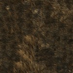 BRINDLE GRAY